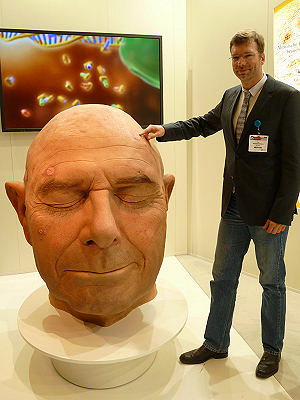 Dr. Schwichtenberg mit einem übergroßen Kopfmodell